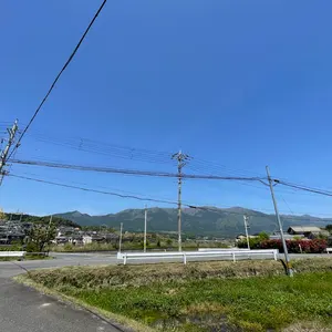 善人【23〜25日は発送できません】