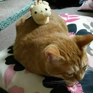 thearth×bgo×trunkzero ミル上手 床上手さん - メルカリ