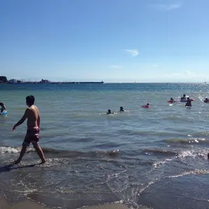 イッタラ シエッポ 表参道限定 ターコイズ ブルー オイバトイッカ