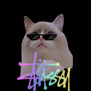 今日の吉吉