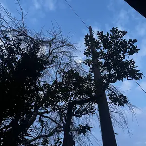 NUTEMPEROR/ナットエンペラー - CREW NECK SWEATER - メルカリ