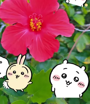 SUKALA 花柄 ヨガウェア Mサイズ - メルカリ