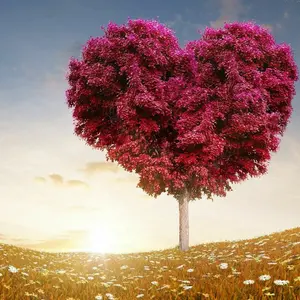 マーマレード＊