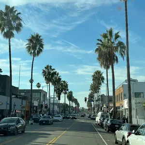 MLB スポーツトイ トラウト・マスコット ぬいぐるみ