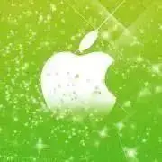 sirobari Multi Patch 2箱セット - メルカリ