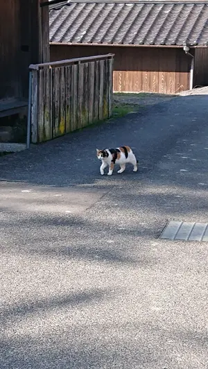 まーくん