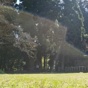 おしぼり 新品 ウエス 雑巾 【600枚】 - メルカリ