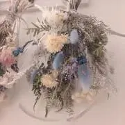 いそべ★プロフ有