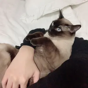 xikers DEAR MY MUSEヨントントレカ セウン - メルカリ