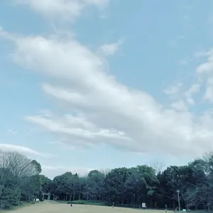 Julius Feurich フォイリッヒ 1905年製 アップライトピアノ - メルカリ