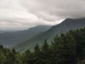 ぱちょまちょマム