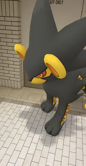 ポケモンセンター限定 スーパーひみつきちのヒノアラシドール ポケモン