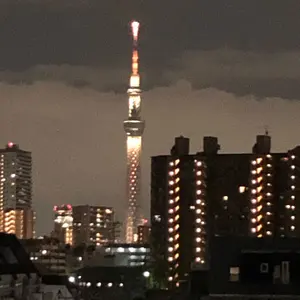 超希少】スーパーカブ ちょびさんシート 三段シート - メルカリ