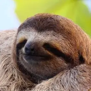 007 ユア・アイズ・オンリー('81英) - メルカリ