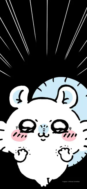 購入前コメントお願いします!