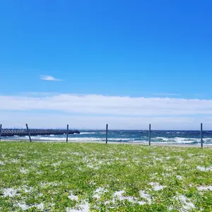 三上悠亜 (2日間限定値下げ)2018年 卓上カレンダーサイン入り - メルカリ