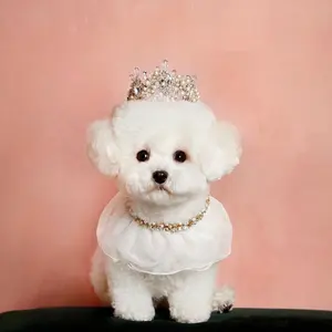 カンチョンピン ぬいぐるみ ベイビーティニピン サプライズボックス