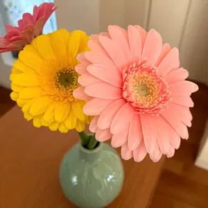 ポケモン映画10周年】ダークライ 台座付コレクションフィギュア