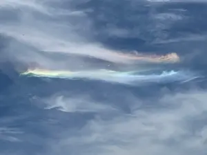 쇼핑월드 메루카리 - Brocante ブラウス グレー COTTON100% MC-113