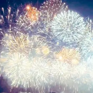 飛鳥※今月中に出品ページをほぼ削除予定