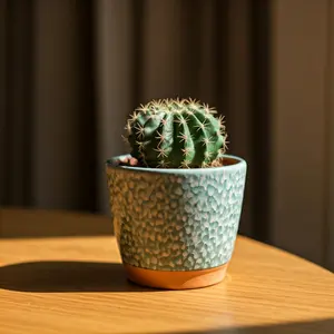 Bowflex 552 可変式ダンベル 24kg その１（2個セットのうち1つ） Bowflex 552 可変式ダンベル 24kg その1（2個セットのうち1つ