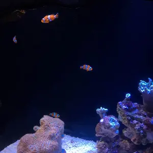 タイガー魔法瓶 ホットプレート(CRC-B302T)【ヨッシーよしよし様専用