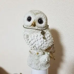 ハローキティ 佐賀限定プチタオル 地域限定 地方限定 プチタオル 7枚