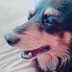 モモ　※プロフ必読してください