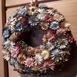 BIC E-COMP ロングボード 9.0（福岡、佐賀 手渡し限定） - メルカリ