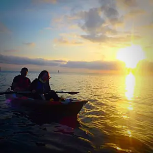 ✮X-girl × NEW ERA コラボ 【マダガスカリエンセ様専用】 - メルカリ