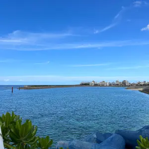 BUMP OF CHICKEN Silver Jubilee ジャケット 黒 2025年最新】silver jubilee jacketの人気アイテム - メルカリ