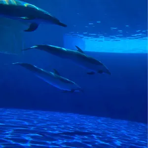 風景画皿4枚とカップ2つセット - メルカリ