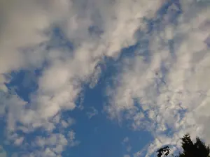 安室透モデル＊ハーバリウム 名探偵コナン 安室透 ハーバリウム SuperGroupies - メルカリ