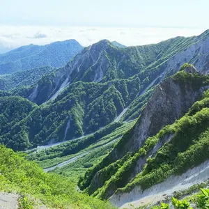 ごう
