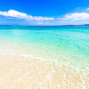 国立大学クラス 駿台夏期講習 虎の巻 あえて書き込みもメモ帳も