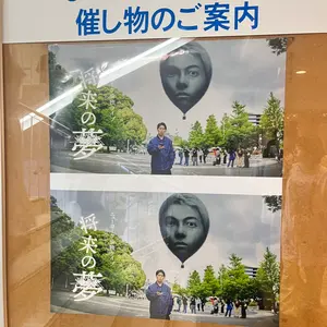 psa10 フシギダネプロモ Bulbasaur: PROMO - メルカリ