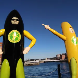 ち*さ様 LITESPEED C3 カーボンフレーム 520? ジャンク 発送不 ち*さ様 LITESPEED C3 カーボンフレーム 520? ジャンク 発送不 - メルカリ