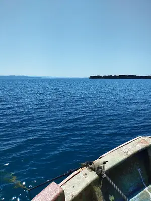 あもあもコメント