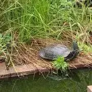 90s Lee ブラックデニムジャケット ブランケット 襟コーズ 90s Lee ブラックデニムジャケット ブランケット 襟コーズ