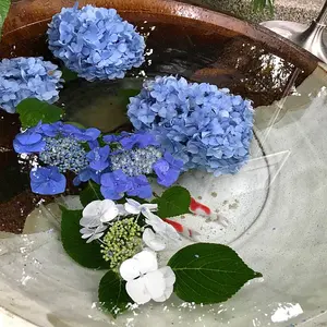 渡邉廉 2025 NEWYEARGOODS 着ぐるみキーホルダー　レア 渡邉廉 2025 NEWYEARGOODS 着ぐるみキーホルダー レア - メルカリ