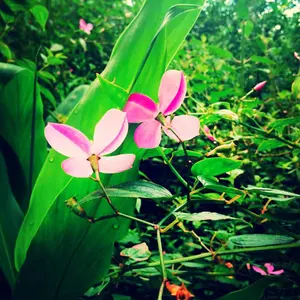 札幌市近郊引取限定】80s ヴィンテージ ラウンドテーブル ダイナー仕様