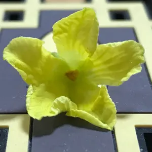 めんむん