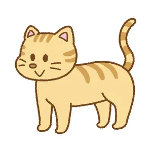 LIVE STAND 生写真 ブロマイド エバース LIVE STAND 生写真 ブロマイド エバース - メルカリ