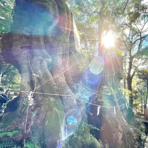 Lone Wolf カスタムメイド スタジャン 36 - メルカリ