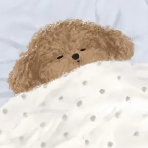 diamond edge 本国 ソウルコン トレカ ジョンハン ソロコンプ - メルカリ