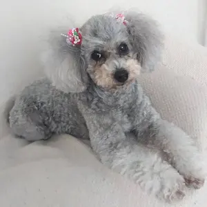 TOTO 風呂蓋 未使用 887×1512 - メルカリ