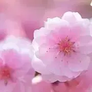 M企画 軍服セーラー - メルカリ