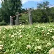 みかん✱プロフご確認お願いいたします