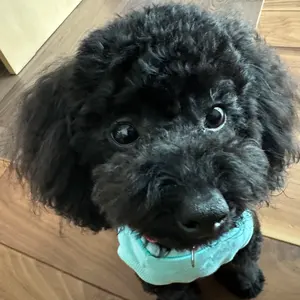 hi ⭐︎プロフ必読⭐︎断捨離中