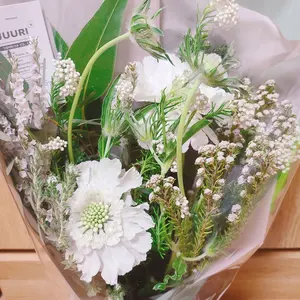 ぶたぶたこぶた様　ネオベジータ 　⑤ ぶたぶたこぶた様 ネオベジータ ⑤ - メルカリ